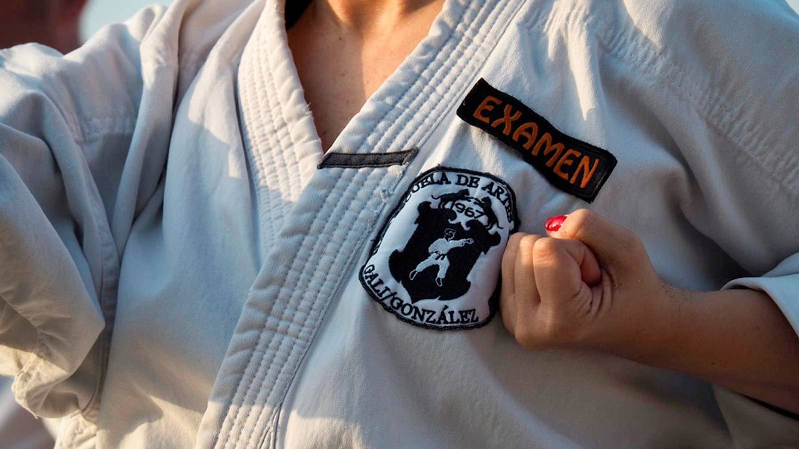Escudo Alta Escuela de Artes Marciales Karate-Do Gali Peeters Barcelona desde 1967